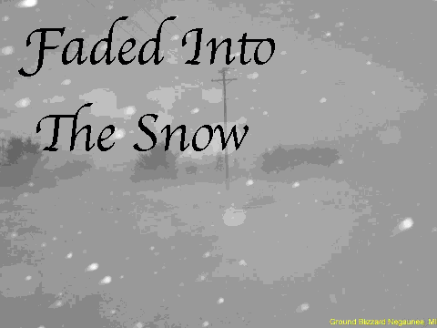 Faded Into the Snow
