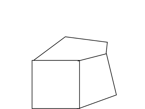The dice (mostly unaccurate!)