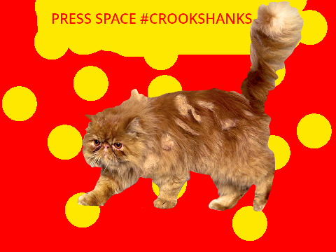 #SPINNING CROOKSHANKS