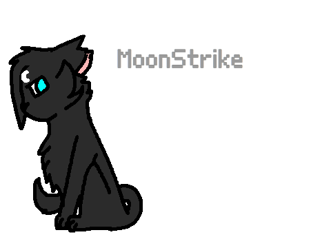 my warrior cat for a RP