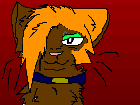 ~Emo Cat CC Entry~