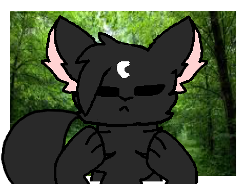 Wildfire | meme