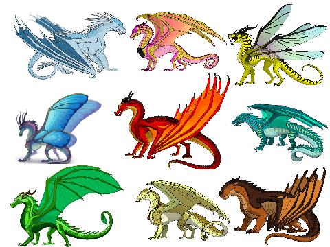 Wings of Fire Tribes!