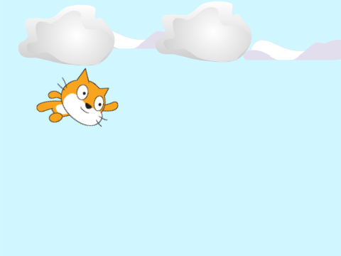 Flying Cat.......
