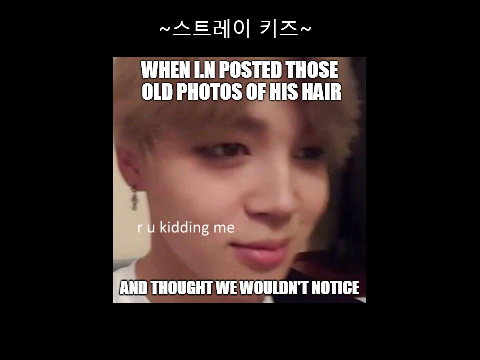 Stray Kids Memes - (Original) Pt.2 