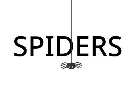 Spiders