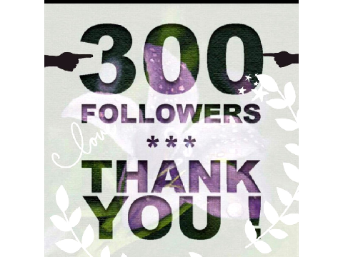 300 Followers SPECIAL!!