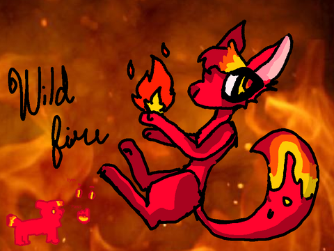 Fox DTA Entry