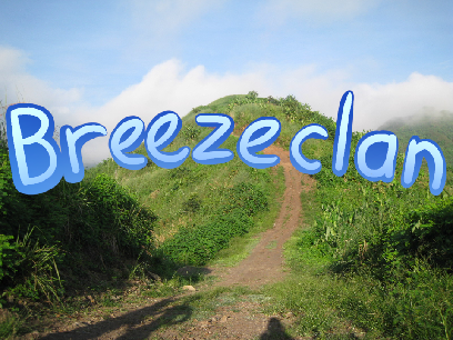 Breezeclan//info page