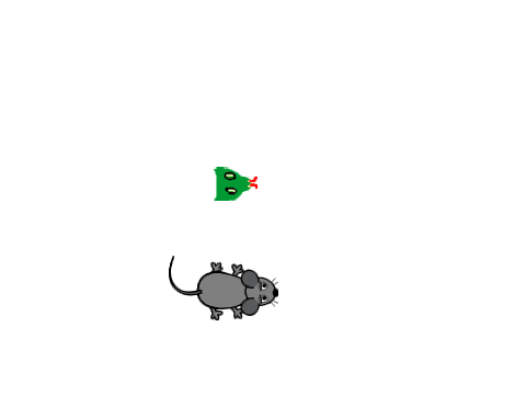 Snake Game