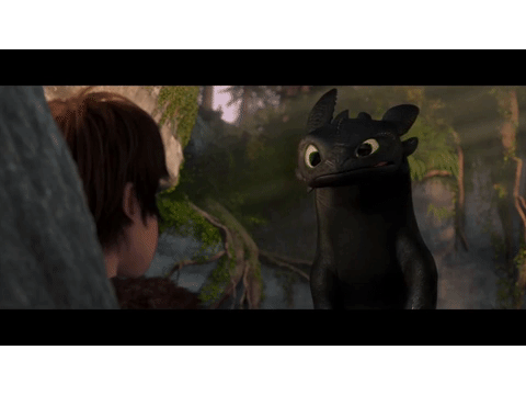 How to train your dragon Gifs!