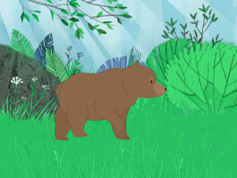 bear hunt