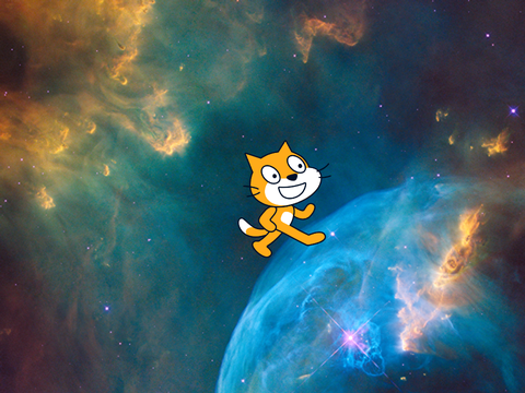 crazy cat