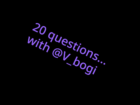 20 questions V_bogi