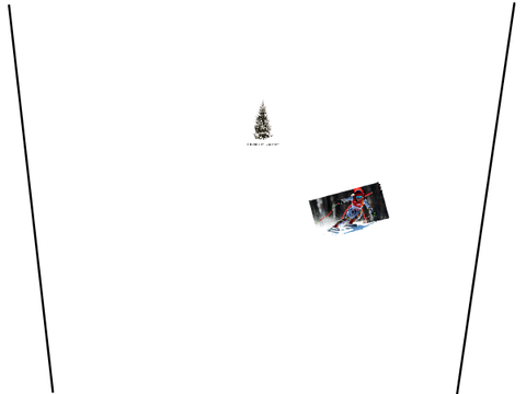 Ski Trouble