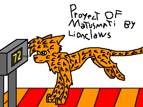 The Velocity Of The Leopard