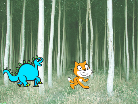 forest run