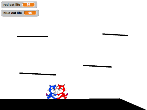 cat battle