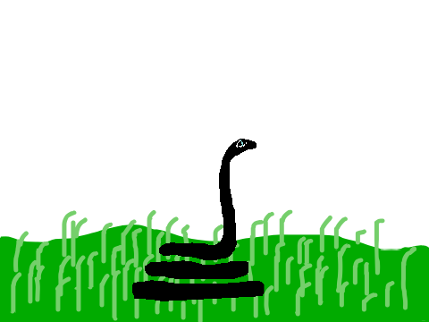 snake animation