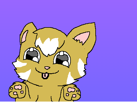 Cat profile pic!