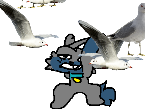 { + SEAGULLS + } (meme) 