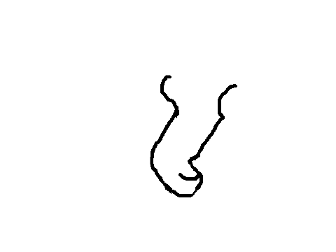 Animation