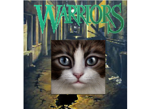 Warrior Cat Cover Maker remix