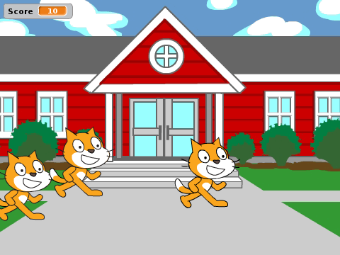 Catch the cats!
