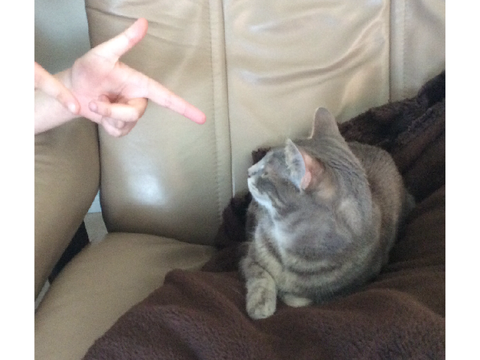 Finger Guns With Mink