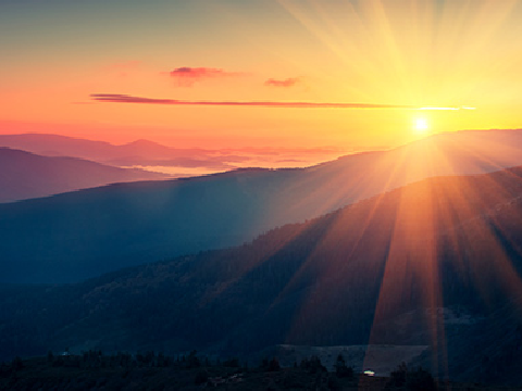 Dawn (Chapter Fourteen)