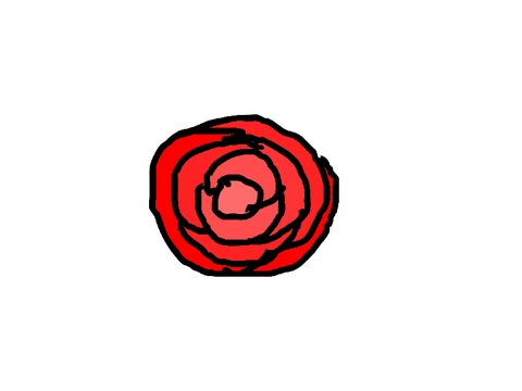 ⋘ ∗ ⋅◈Rose Picture◈⋅ ∗ ⋙