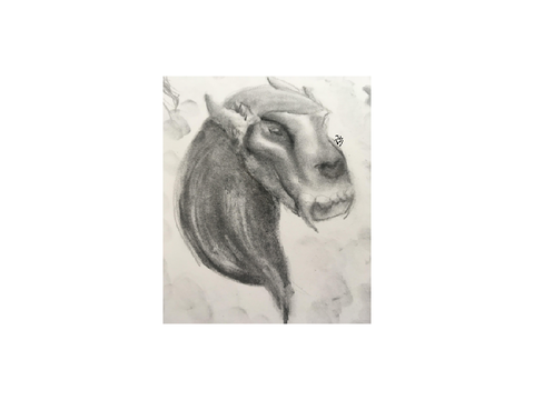 *charcoal*