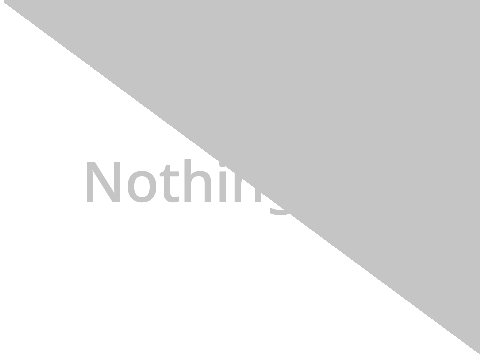 Nothing.