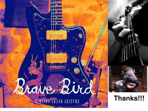50 followers! (Brave bird - Killer velocity)