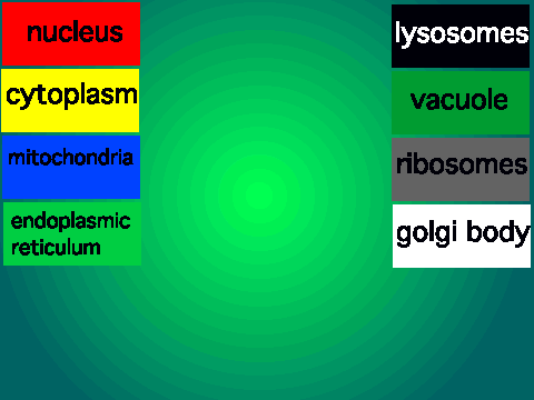 sci hw
