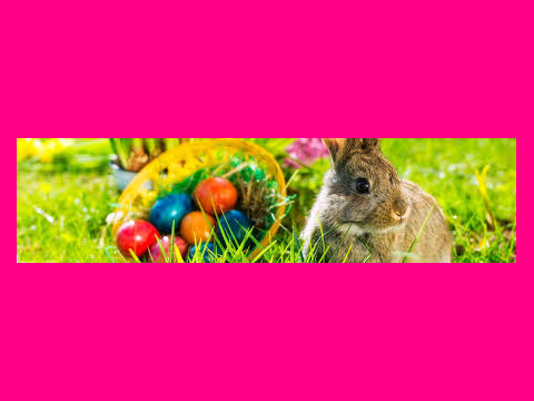 Easter's Coming Soon Cute Pics