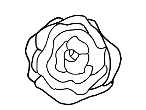 My Rose Outline