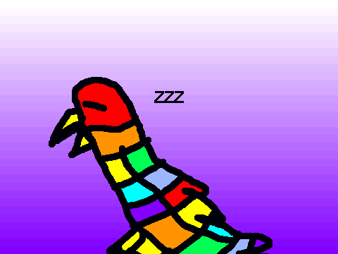 Rainbow Bird!