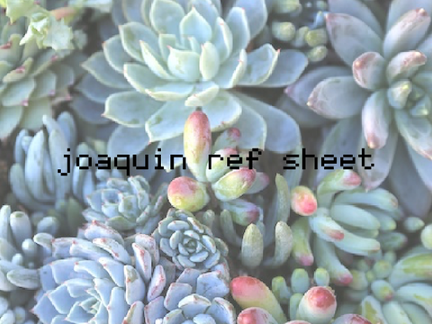 joaquín