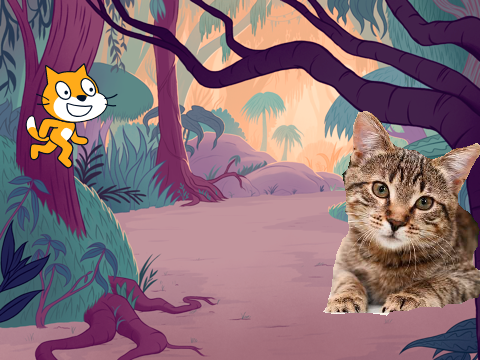 The forest of epic proportions