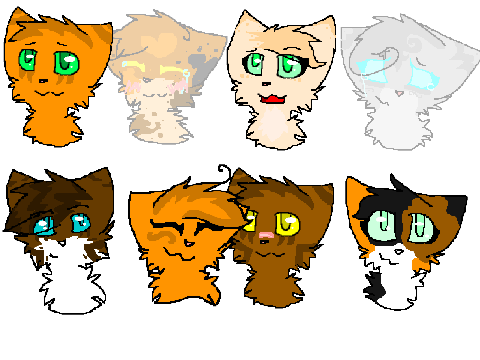 My Favorite Warrior Cats part 1