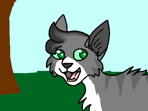 Roar CCE