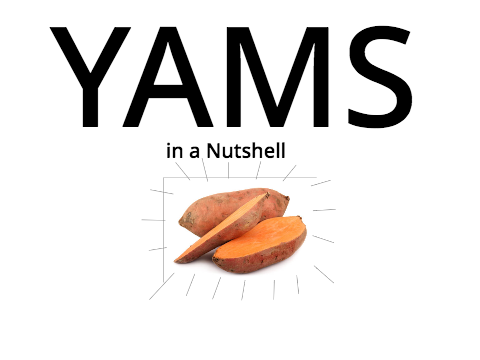 ʏᴀᴍs ɪɴ ᴀ ɴᴜᴛsʜᴇʟʟ