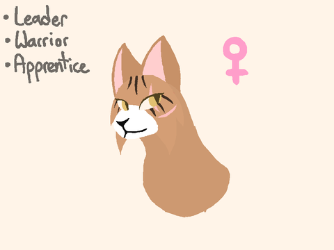 Warriors Generator