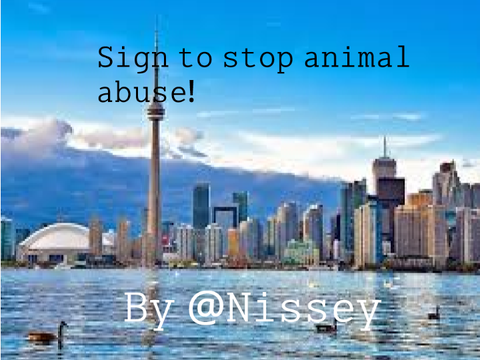 ~Sign to stop animal abuse~ 