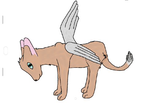 OC Request 