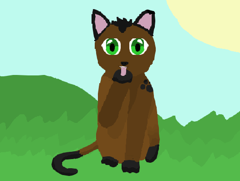 Cat animation