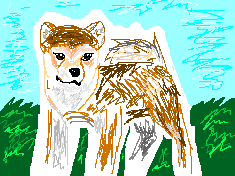 Request 4 Creeper_Killer- Shiba Inu