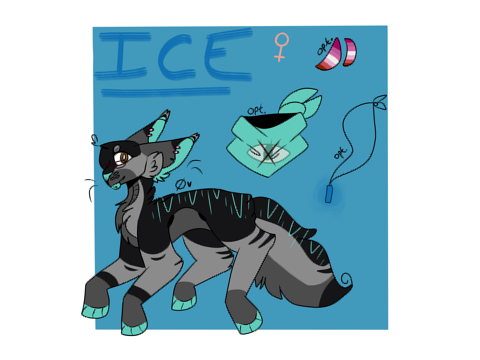 + new ice ref - 2019 +