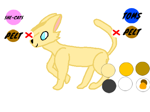 Create A Cat